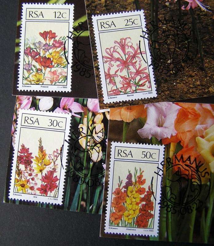 SOUTH AFRICA Maxi Card Set - Floral Emigrants 1985 //Flowers