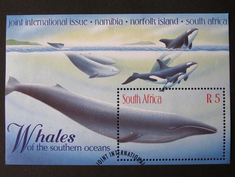 SOUTH AFRICA Miniature Sheet (First Day Cancel) - Whales of the Southern Oceans 1998