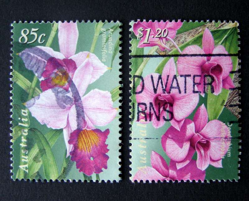 AUSTRALIA - Orchids 1998 //Flowers