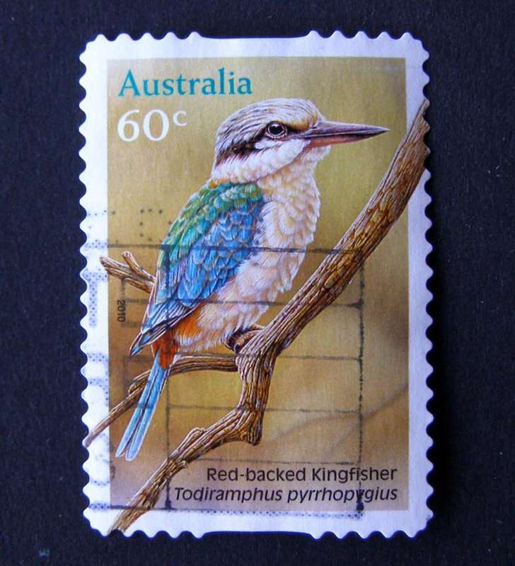 AUSTRALIA - Kingfishers 2010 //Birds