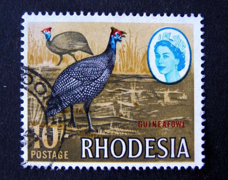 RHODESIA - 10/- Guinea Fowl Definitive 1966 //Birds