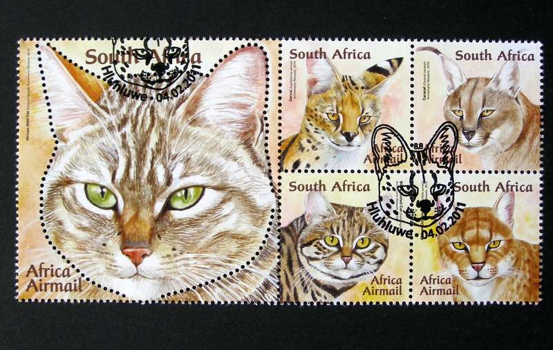 SOUTH AFRICA Set (CTO) - Small African Wild Cats 2011
