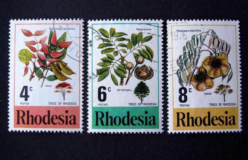 RHODESIA - Trees 1976