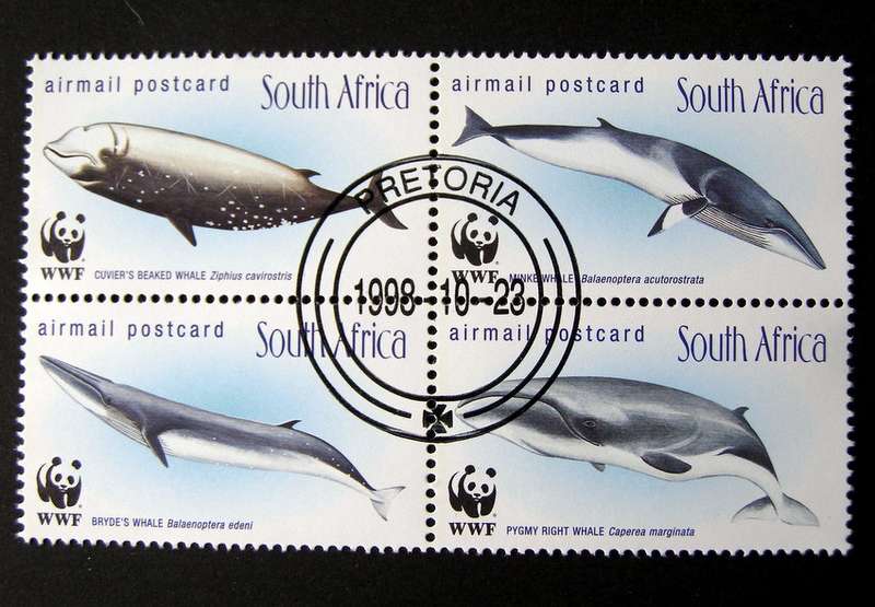 SOUTH AFRICA Set (CTO) - Whales of the Southern Oceans 1998
