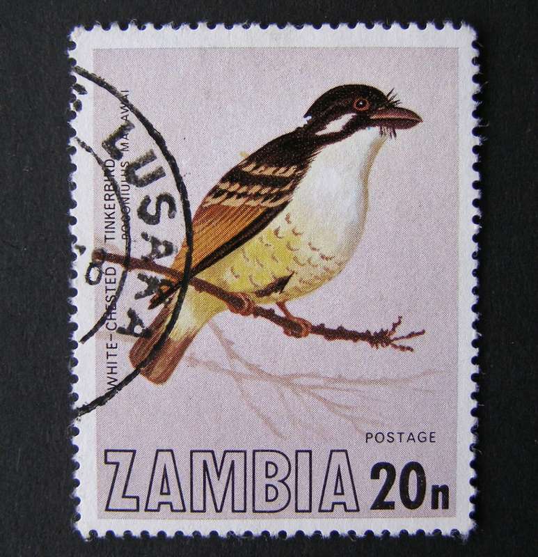 ZAMBIA - Birds 1977