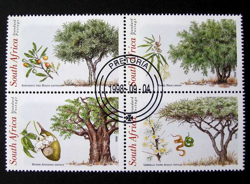 SOUTH AFRICA Set (CTO) - Indigenous Trees 1998