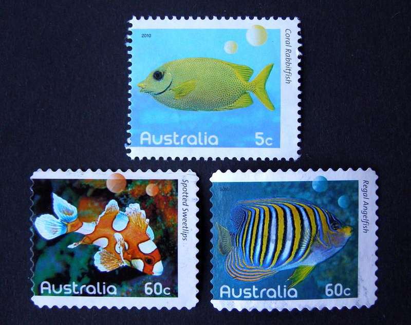 AUSTRALIA - Fish of the Reef 2010