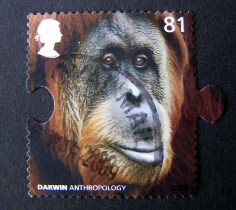GREAT BRITAIN - Birth Bicentenary of Charles Darwin 2009