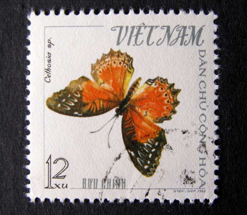 NORTH VIETNAM - Butterflies 1965