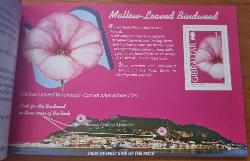 GIBRALTAR 2004 WILD FLOWERS OF GIBRALTAR PRESTIGE BOOKLET MINT. SB14. AS PER SCANS. LOVELY ITEM.