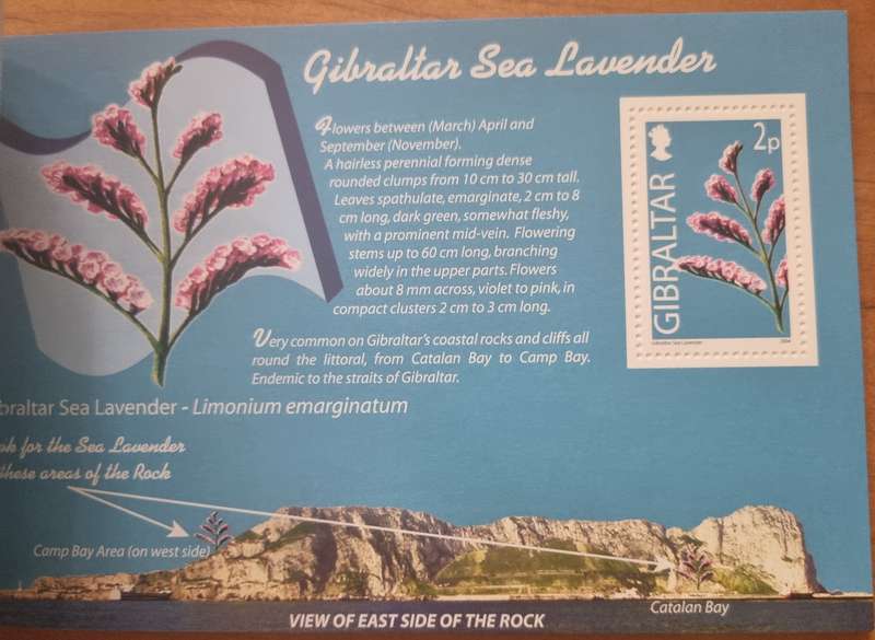 GIBRALTAR 2004 WILD FLOWERS OF GIBRALTAR PRESTIGE BOOKLET MINT. SB14. AS PER SCANS. LOVELY ITEM.