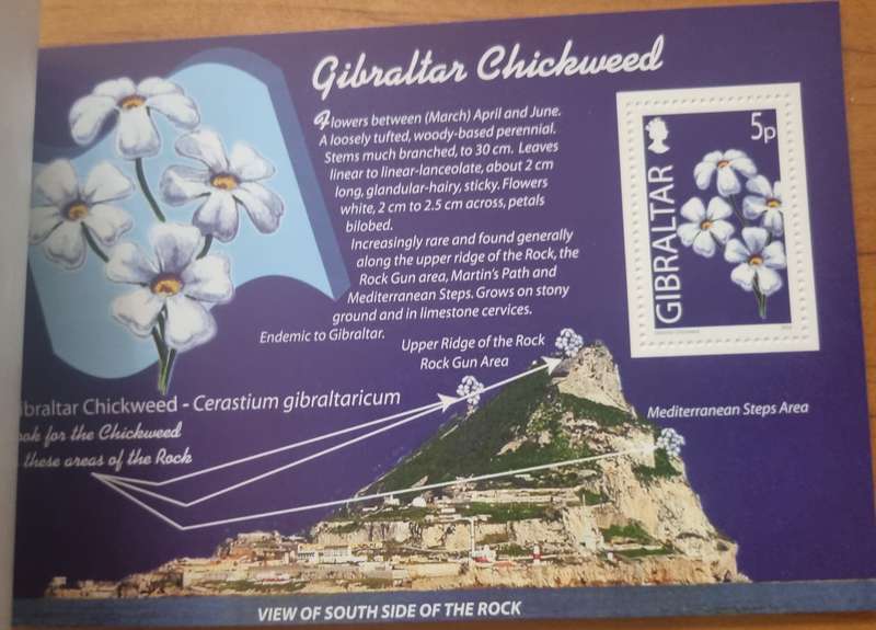GIBRALTAR 2004 WILD FLOWERS OF GIBRALTAR PRESTIGE BOOKLET MINT. SB14. AS PER SCANS. LOVELY ITEM.