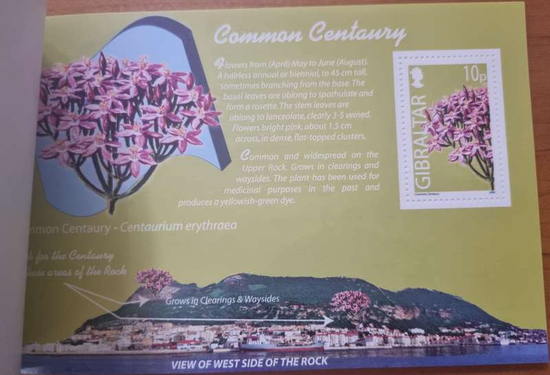 GIBRALTAR 2004 WILD FLOWERS OF GIBRALTAR PRESTIGE BOOKLET MINT. SB14. AS PER SCANS. LOVELY ITEM.