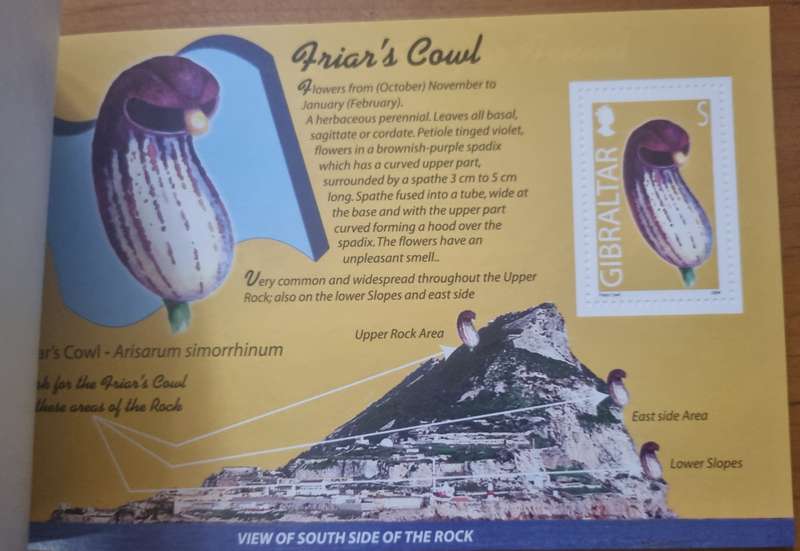 GIBRALTAR 2004 WILD FLOWERS OF GIBRALTAR PRESTIGE BOOKLET MINT. SB14. AS PER SCANS. LOVELY ITEM.