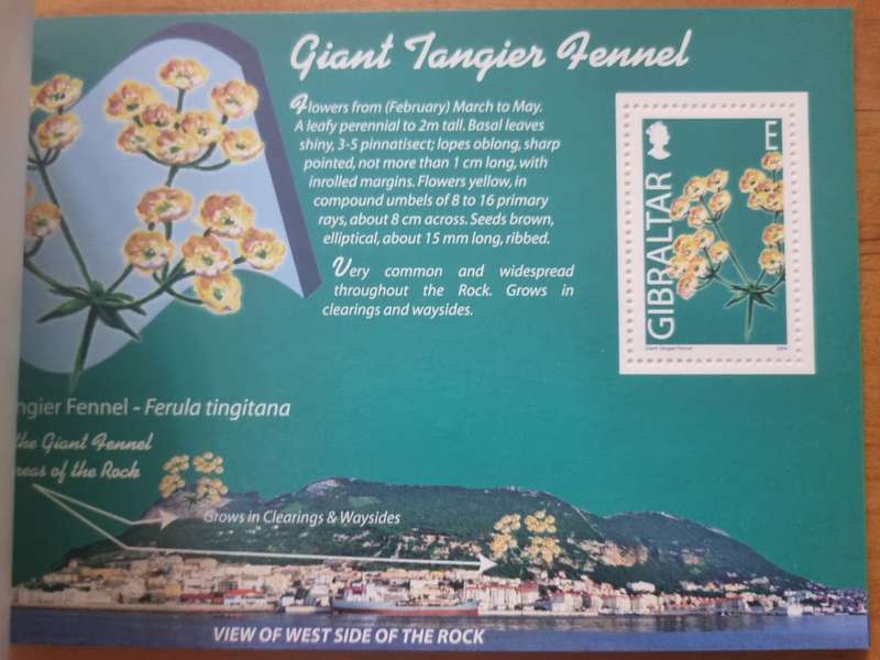 GIBRALTAR 2004 WILD FLOWERS OF GIBRALTAR PRESTIGE BOOKLET MINT. SB14. AS PER SCANS. LOVELY ITEM.