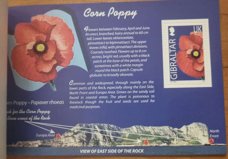 GIBRALTAR 2004 WILD FLOWERS OF GIBRALTAR PRESTIGE BOOKLET MINT. SB14. AS PER SCANS. LOVELY ITEM.
