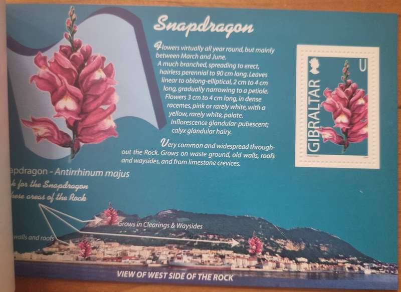 GIBRALTAR 2004 WILD FLOWERS OF GIBRALTAR PRESTIGE BOOKLET MINT. SB14. AS PER SCANS. LOVELY ITEM.