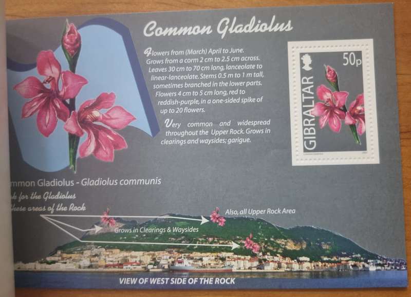 GIBRALTAR 2004 WILD FLOWERS OF GIBRALTAR PRESTIGE BOOKLET MINT. SB14. AS PER SCANS. LOVELY ITEM.