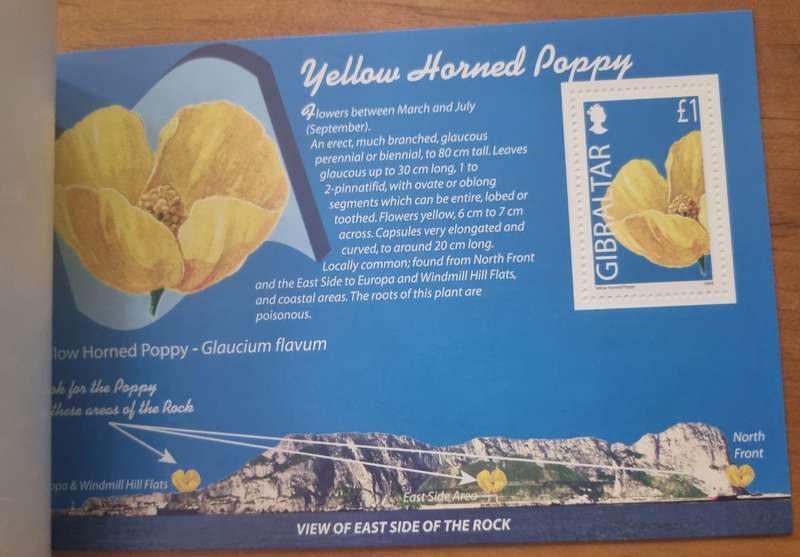 GIBRALTAR 2004 WILD FLOWERS OF GIBRALTAR PRESTIGE BOOKLET MINT. SB14. AS PER SCANS. LOVELY ITEM.