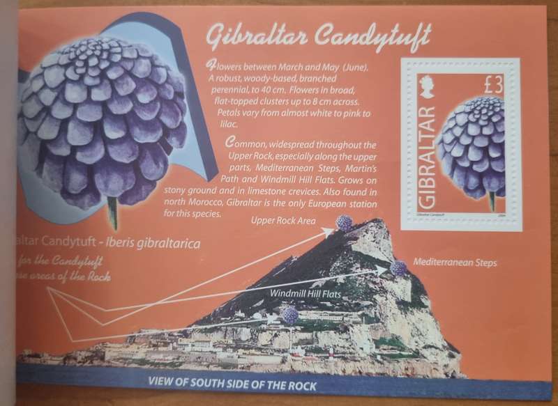 GIBRALTAR 2004 WILD FLOWERS OF GIBRALTAR PRESTIGE BOOKLET MINT. SB14. AS PER SCANS. LOVELY ITEM.