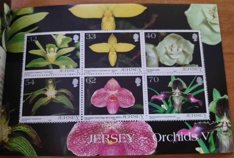 JERSEY 2004 ORCHIDS MINT PRESTIGE BOOKLET. AS PER IMAGES. SB63. LOVELY ITEM.