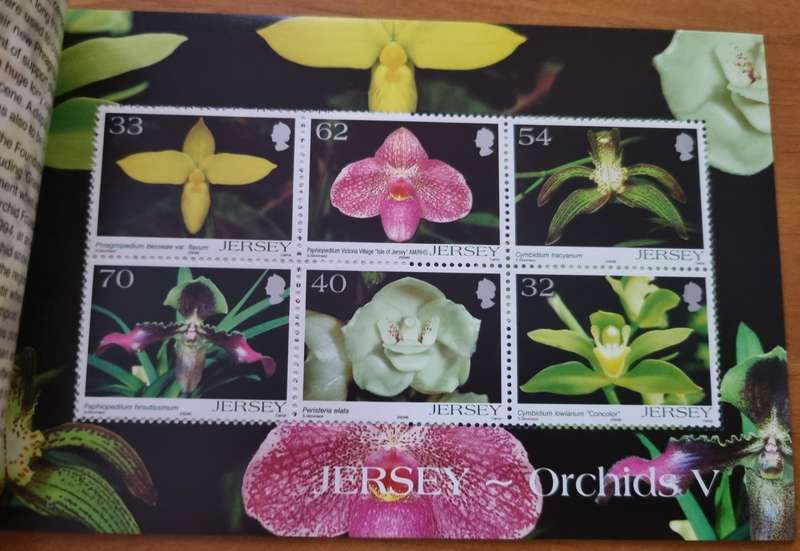 JERSEY 2004 ORCHIDS MINT PRESTIGE BOOKLET. AS PER IMAGES. SB63. LOVELY ITEM.