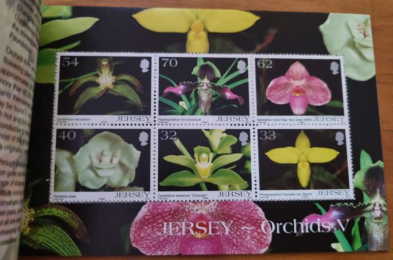 JERSEY 2004 ORCHIDS MINT PRESTIGE BOOKLET. AS PER IMAGES. SB63. LOVELY ITEM.