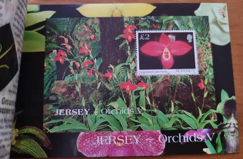 JERSEY 2004 ORCHIDS MINT PRESTIGE BOOKLET. AS PER IMAGES. SB63. LOVELY ITEM.