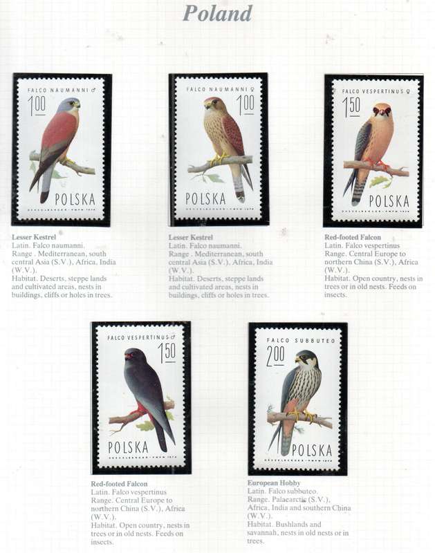 WORLD SELECTION OF BIRDS UMM SINGLES. NOT ALL COMPLETE SETS. AS PER (X21) SCANS. NICE LOT. READ
