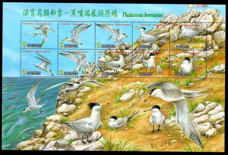 TAIWAN (CHINA) 2002 CHINESE CRESTED TERN (BIRDS) UMM SET OF (X2) SHEETS. SGMS2802a/b. STUNNING ITEMS