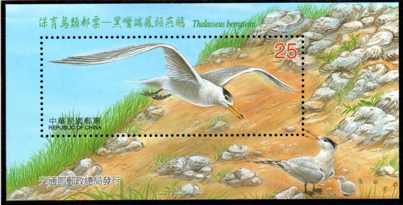 TAIWAN (CHINA) 2002 CHINESE CRESTED TERN (BIRDS) UMM SET OF (X2) SHEETS. SGMS2802a/b. STUNNING ITEMS