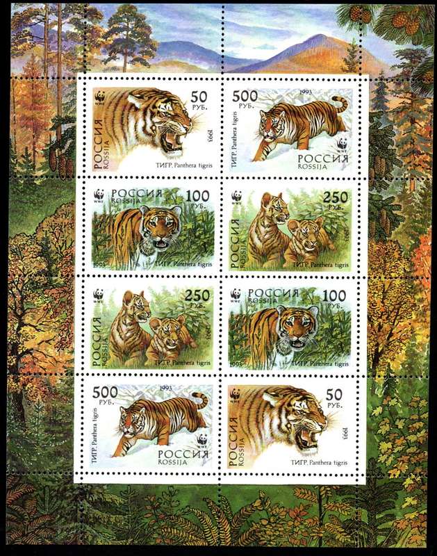 RUSSIA 1993 THE TIGER (WWF) UMM SETENANT SHEET OF (X8). SG6443/6. AS PER SCANS. LOVELY THEMATIC ITEM