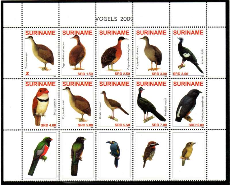 SURINAM 2009 BIRDS UMM SETENANT PART SHEET OF (X10). SG2780-9. AS PER SCANS. CV GBP 46+. LOVELY ITEM