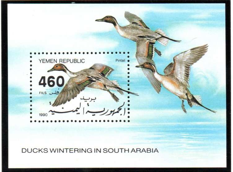 YEMEN 1990 PINTAIL DUCK UMM MINI SHEET SGMS13. CV GBP 16. AS PER SCANS. LOVELY THEMATIC ITEM.