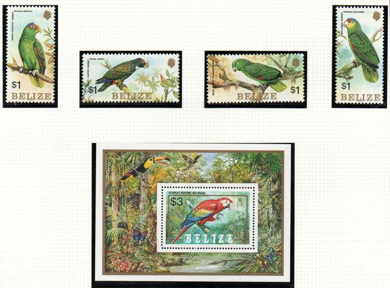 BELIZE 1984 PARROTS UMM SET OF (X4) SINGLES + MSHEET. AS PER SCANS. SG806/MS810. CV GBP 10+.