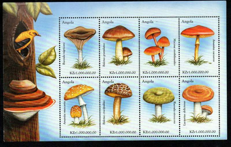 ANGOLA 1999 FUNGI (MUSHROOMS) (X3) SETENANT SHEETLETS OF (X8) EACH UMM. SG1469/92. CV GBP 24+.