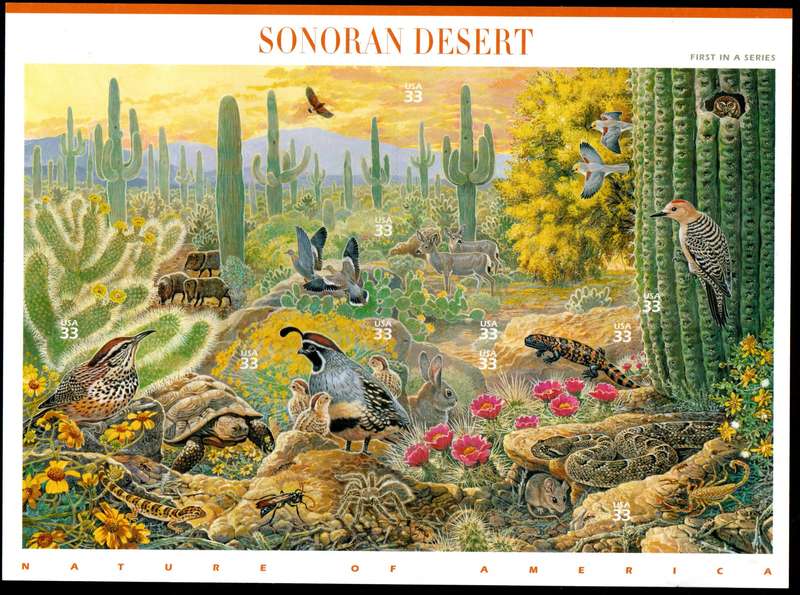USA 1999 NATURE OF AMERICA SONORAN DESERT SELF-AD SHEET. SGMS3578. CV GBP 9. AS PER SCANS. READ.