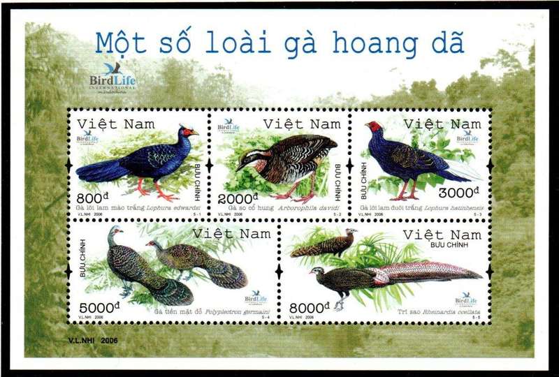 VIETNAM 2006 BIRDS UMM MINI SHEET. AS PER SCANS. SGMS2702. CV GBP 8.5. GREAT ITEM.