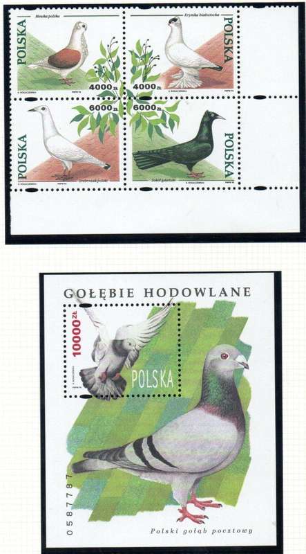 POLAND 1994 PIGEONS UMM SET OF (X4) IN SETENANT BLK + MSHEET. SG3538-MS3542. AS PER SCANS.