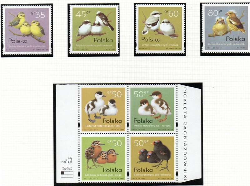 POLAND 1995 SONG BIRDS UMM SET OF (X4) SG3594-97 + 1997 PRAECOCIAL CHICKS SET IN BLOCK SG3720-23.