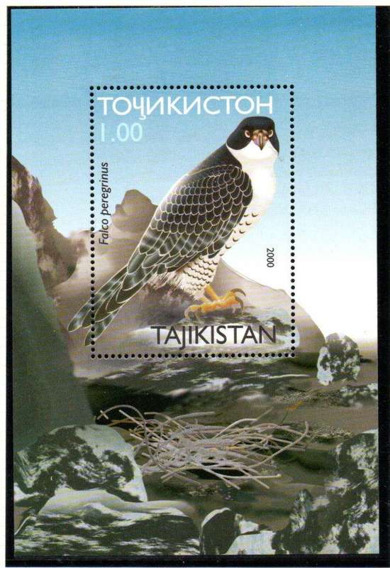 TAJIKISTAN 2001 BIRDS (PEREGRINE FALCON) UMM MINI SHEET. SGMS165. AS PER SCANS. NICE THEMATIC ITEM.