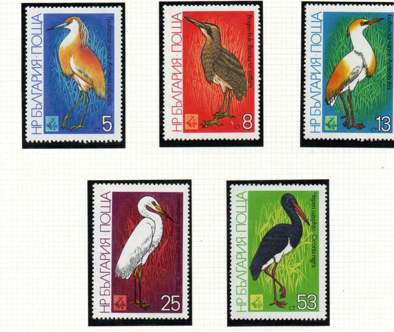 Bulgaria 1981 birds set of (x6) umm singles - as per scans - SG3892/7 - lovely thematic set.