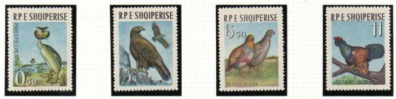 ALBANIA 1963 BIRDS UMM SET OF (X4) SINGLES. AS PER SCANS. CV GBP 24+. NICE THEMATIC SET.