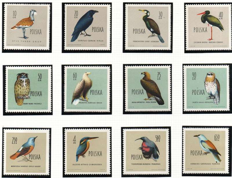 Poland 1960 birds umm set of (x12) - SG1201-1212 - CV GBP 29.