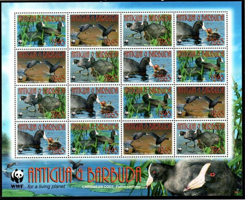 Antigua and Barbuda 2009 Caribbean coot (birds) umm setenant sheet - SG4259-62 - CV GBP 40.
