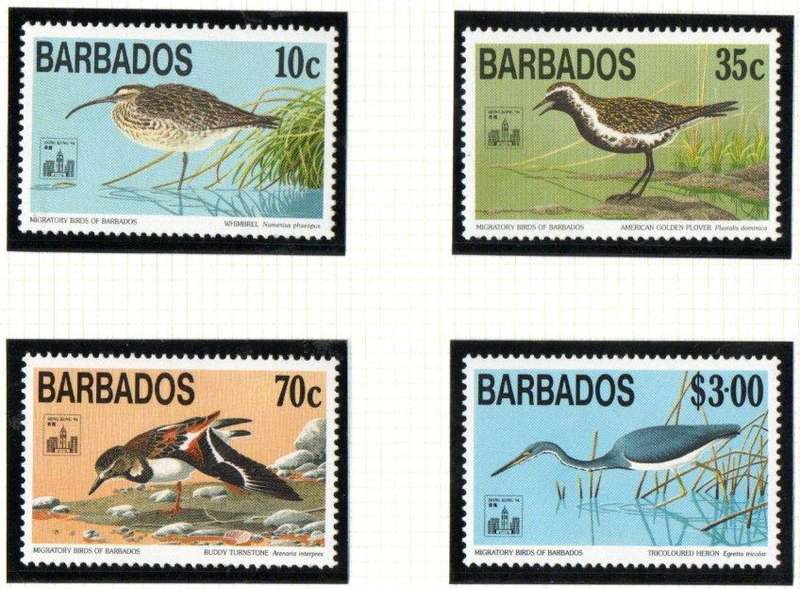 Barbados 1994 migratory birds umm set of (x4) - SG1018-21 - nice thematic set