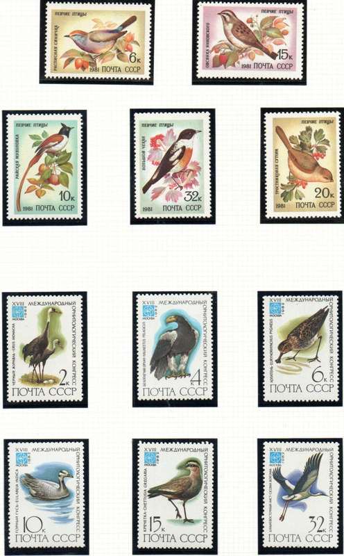 Russia 1981 songbirds umm set of (x5) SG5158/62 + 1982 birds set of (x6) - lovely thematic sets.