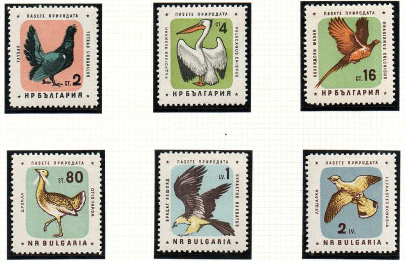 Bulgaria 1961 birds set of (x6) umm singles - as per scans - SG1236-41  CV GBP 12+