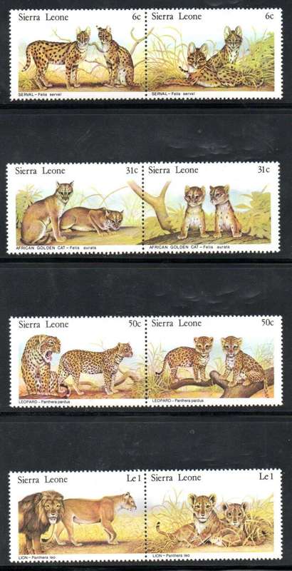 Sierra Leone 1981 wild cats umm set of (x8) in (x4) horizontal pairs  SG656-63  lovely thematic se