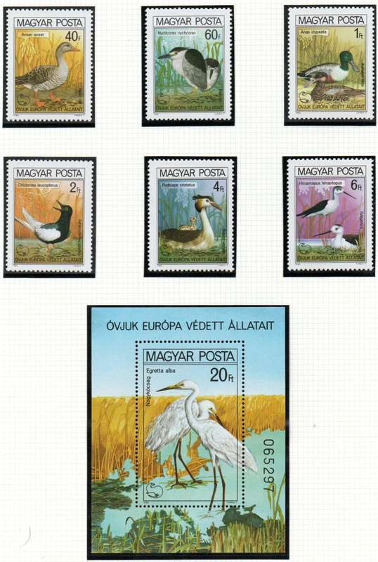Hungary 1980 protected birds umm set of (x6) + msheet  SG3340-MS3346  CV GBP 12+